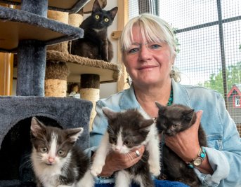 Angelika Reimann und eine weitere Helferin haben die Katzen aufgenommen und sie in sofortige ärztliche Behandlung gegeben. Mittlerweile konnten einige Tiere bereits wieder vermittelt werden. 
