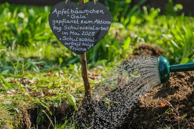 Bei einer Aktion zur Schulsozialarbeit wurde ein Apfelbaum auf dem Schulgelände gepflanzt.