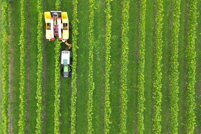 Zu den Aufgaben der Jung-Landwirte (Symbolfoto) gehört es, die Ernte einzufahren.