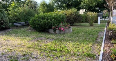 Wird ebenfalls insektenfreundlich und zum Lebensraum für einheimische Vögel und Kleintiere umgestaltet: der Park an der Flockenstraße. 
