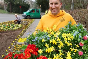 2500 Pflanzen für Töpferstadt - 