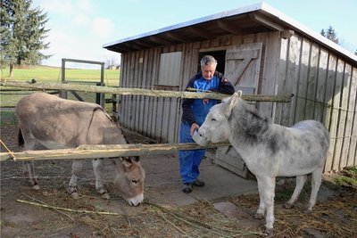 Bauhofmitarbeiter Holger Rosemann versorgt Pedro und Emmy.