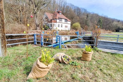 Frühling in Braunsdorf: Am Wochenende wird an der Historischen Schauweberei ein neues Purple-Path-Kunstwerk eröffnet. Rundherum gibt es viel zu entdecken.