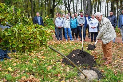 Für jeden der fünf Ehrenbürger der Stadt Burgstädt ist ein Baum gepflanzt worden, hier Norbert Linke, der ehemalige Chef des Krankenhauses und Stadtrat. Der 80-Jährige erhielt vor drei Jahren die Würdigung. 