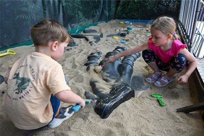 In der Ausgrabungsstätte können Kinder selbst entdecken, was sich unter dem Sand verbirgt.