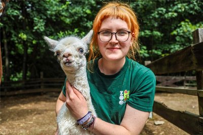 Auszubildende Ronja Rössel hält den kleinen Alpakahengst, der im Zoo der Minis in Aue geboren wurde.