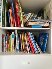 Pettersson und Findus, Grundschulwörterbuch, Kinderatlas und mehr - die "Bibliothek" im Kinderzimmer unterscheidet sich kaum von anderen.