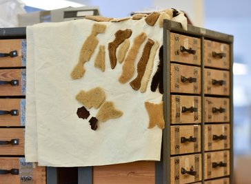 Passendes Material ist nötig, damit die Tiere natürlich erscheinen.