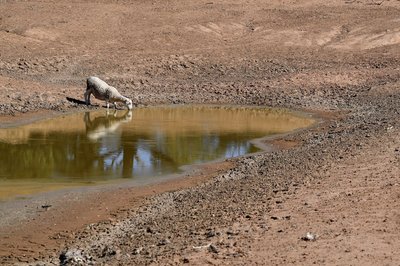 Die NOAA hat den Beginn von El Niño verkündet. (Symbolbild)