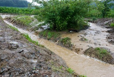 Ausgehend von einem am Ortsrand gelegenen Maisfeld hat das Wasser bereits tiefe Furchen in den Boden gespült.