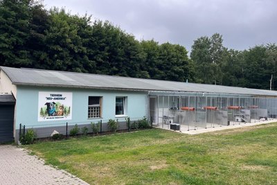 Talos wird seit Anfang Juni im Tierheim „Neu-Amerika“ bei Annaberg-Buchholz betreut.