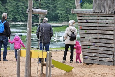 Freude über die Schwanenfamilie am Großen Teich Freiberg. 
