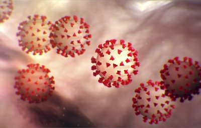 Das Coronavirus in einer schematischen Darstellung: Laut Gesundheitsamt ist es in Chemnitz gelungen, bei fast allen Positiv-Getesteten festzustellen, bei wem sie sich infiziert haben.