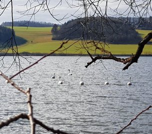 Idylle an der Talsperre Pirk. Wer sich ins noch recht kühle Gewässer traut, erlebt pure Natur. 