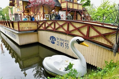 Romantik-Tipp für Verliebte: eine Fahrt mit dem Schwan-Tretboot am Schwanenschlößchen in Freiberg. 