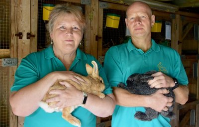 Evelyn und Matthias Heidrich, hier mit Kaninchen der Rasse Kleinsilber in den Farbschlägen gelb beziehungsweise schwarz, engagieren sich im Pleißaer Kaninchenzuchtverein.
