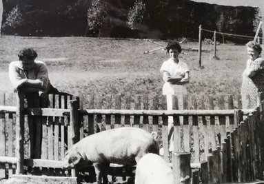 Auf dem Gelände wurden auch Schweine und Schafe gehalten.