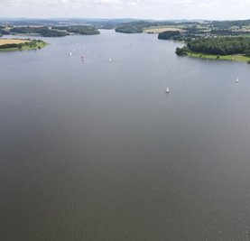 Unter der Oberfläche der Talsperre Pöhl wimmelt es von Silberkarpfen: Sie wurden Ende der 1980er-Jahre eingesetzt und stammen ursprünglich aus Asien. Doch ihre Tage sind gezählt. 