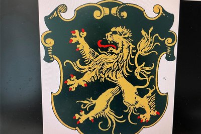 Das Wappen, welches die Stadt Wappen verwendet, zeigt den Löwen deutlich „wilder", in andererer Haltung und anderem Wappenumriss.