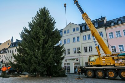 Nach etwa einer Stunde war er auf dem Markt aufgestellt.