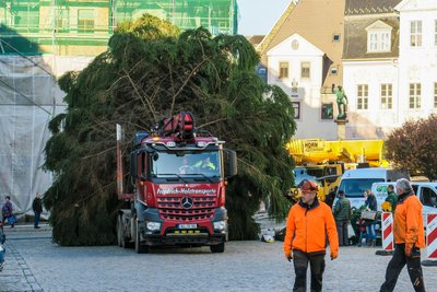 Am Donnerstag gegen 9 Uhr kam der Weihnachtsbaum in Schneeberg an.