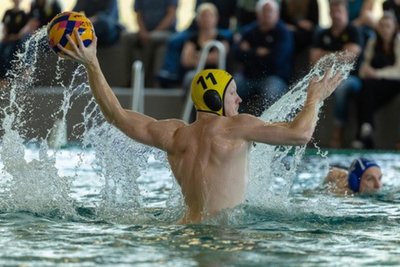 Justus Schneider – hier in einem Heimspiel – und seine Teamkollegen vom SV Zwickau 04 verloren am Samstag das Halbfinale im Pokalwettbewerb.