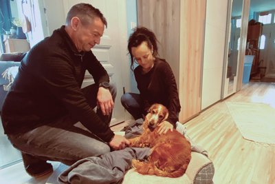 Eine der Lieblingsecken in der großen Wohnung ist für Michael Tägl und seine Partnerin Anke hier: das Körbchen mit Laila, der Cocker-Spaniel-Hündin.