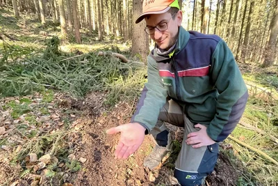 Auf der Hand von Forstingenieur Hannes Kühn liegt ein winziges Samenkorn einer Weißtanne, und damit zugleich eine große Hoffnung für den Waldumbau.
