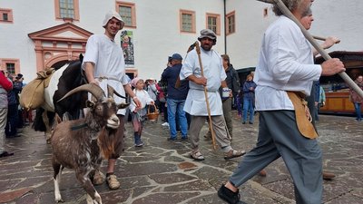 Bauern aus kunnersdorf kommen mit Ziegen und Pferden auf den Schlosshof.