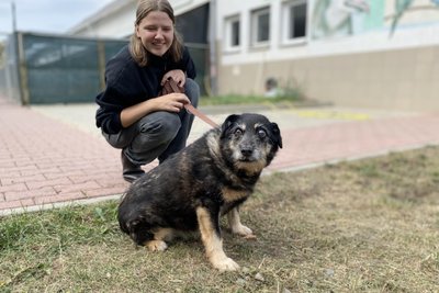 Ehrenamtliche Helferin Johanna Schwenk und Langzeitbewohner Hund Mirko im Tierheim Kandelhof.