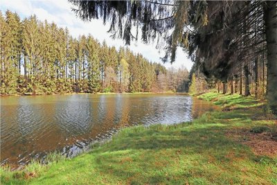 Für den Lother Teich wird in diesem Jahr ein Umflutkanal geschaffen. 