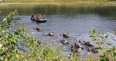Eine Schlauchbootbesatzung übernahm dabei die Absicherung.
