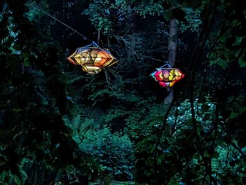 Farbenfroher Lichtblick im Erzgebirge.