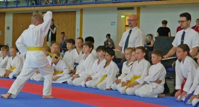Die Wettbewerbe der Karateka in Rochlitz waren bei den Kreis-Kinder- und Jugendspielen einmal mehr ein Anziehungspunkt. 150 Aktive aus zehn Vereinen kämpften in der Regenbogenhalle um Medaillen. 