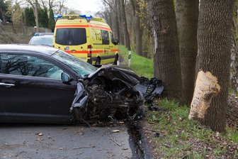 28-Jährige prallt nach Ausweichmanöver gegen Baum -