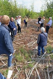 Mitglieder des Stadtrates und der Stadtverwaltung von Freiberg ließen sich am Dienstag von Sachsenforst-Mitarbeitern den Zustand des Stadtwaldes erläutern. 