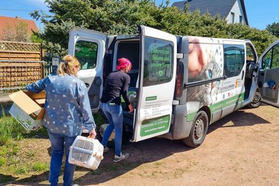 Die Einsatzkräfte arbeiteten mit dem Tierheim aus Freital zusammen.