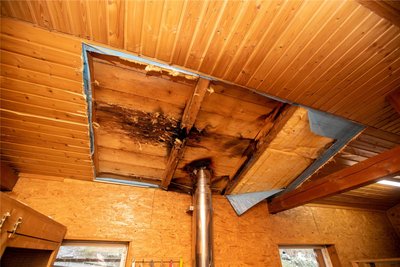 Die Berufsfeuer öffnete das Dach im Kleintierhaus des Plauener Tierheims und suchte nach Brandherden.