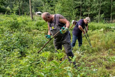 Im Rahmen des Bergwaldprojektes „Aufbäumen!“ sind auf dem Rochlitzer Berg Setzlinge gepflanzt und gepflegt worden.