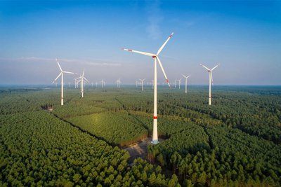 Andernorts gibt es sie bereits: Windräder im Wald. Der Freistaat Sachsen ermöglicht den Bau nun ebenfalls. Olbernhau will eine Vorreiterrolle einnehmen.