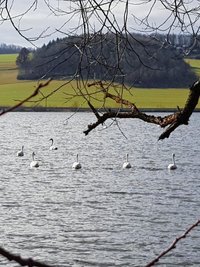 Frühlingsidylle am Stausee vor den Toren von Oelsnitz. 