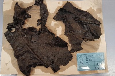 Diese Reste vom Deckleder eines Schuhs, die in der Pfarrgasse in Freiberg entdeckt wurden, stammen vermutlich aus dem 14. Jahrhundert. Im Restaurierungslabor des Landesamtes für Archäologie in Dresden befinden sich die Reste derzeit in einer Wasserlösung, um ein Austrocknen und den darauf folgenden Zerfall zu verhindern.