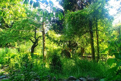 Im Sommer blüht der Kräutergarten „Hagazussa". Ein wahres und auch mystisches Paradies mitten in Lugau.