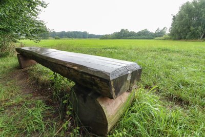 Bevor die Pläne in die Tat umgesetzt werden können, müssen auch Naturschutzbehörden das Vorhaben absegnen. Denn am Friesenweg befinden sich momentan zahlreiche Grünflächen wie hier im Limbacher Teichgebiet.