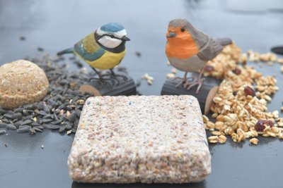 Carolin Lötzsch aus Niederschöna hat Modelle von Blaumeisen und Rotkehlchen, diese lieben Insektenkraftfutter.