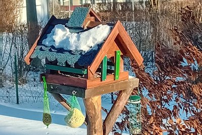 Auch im Freiberger Wohngebiet Friedeburg haben Anwohner Vogelhäuschen aufgestellt.