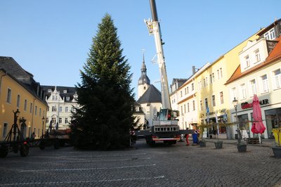 Jetzt ist er aufgestellt: Auf dem Zschopauer Neumarkt steht nun der Weihnachtsbaum.