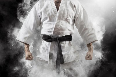 Um die Pokale der Stadt Werdau geht es am Samstag beim Judoturnier im Koberbachzentrum Langenhessen.