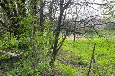 Eine Zufahrt von der B 101 zum neuen Freiberger DHL-Stützpunkt durch das Wiesenbachtal ist laut Stadt nicht möglich: Das Gebiet ist ein Biotop.