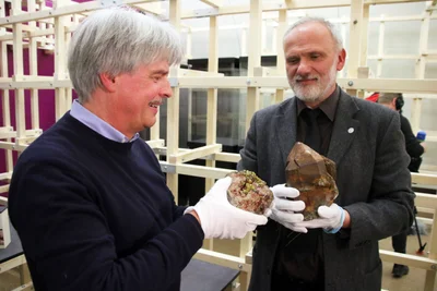 Prof. Dr. Klaus Thalheim von den Senckenberg-Sammlungen Dresden (links) und Andreas Massanek, Kustos der Mineralogischen Sammlungen der TU Bergakademie Freiberg, präsentieren zwei der seltenen Entdeckungen aus Sachsen: einen Mimetesit und ein Zinnwaldit.